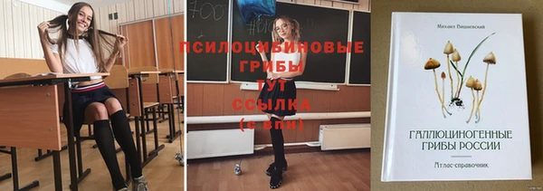 герыч Вяземский