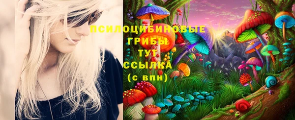 герыч Вяземский