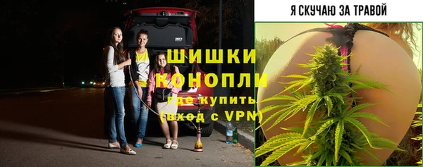 герыч Вяземский