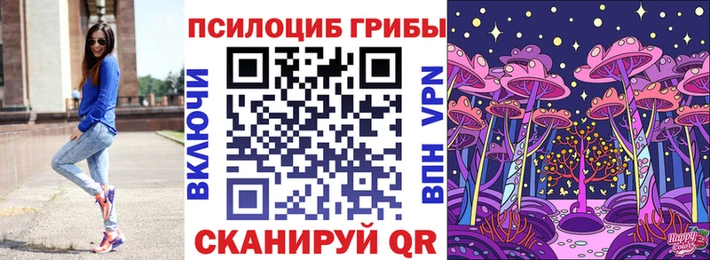 как найти наркотики  Избербаш  Галлюциногенные грибы мухоморы 